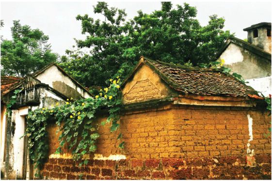 An ancient brick house at Duong Lam - Day Trip from Hanoi