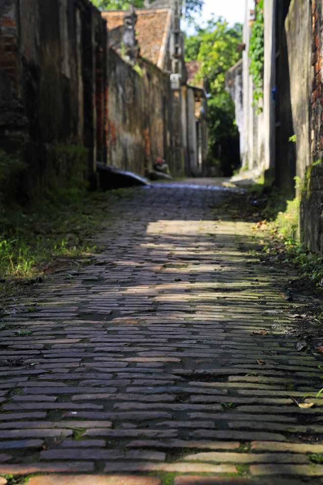 Brick lanes in Cuu Village - weekend  tour from Hanoi