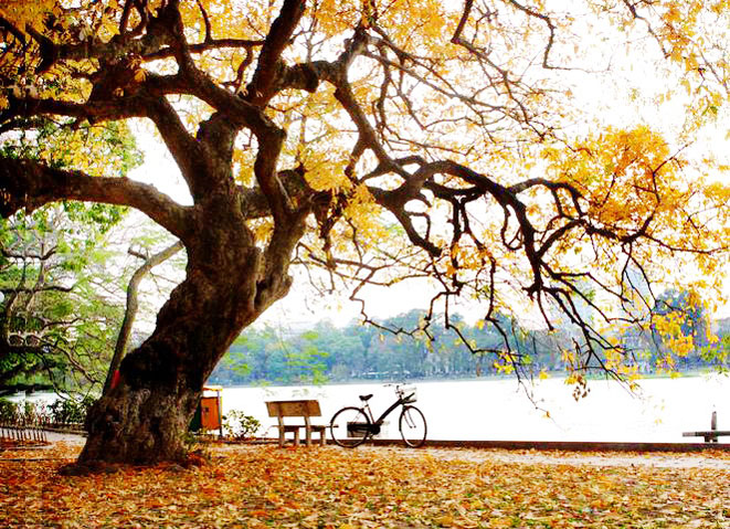 Hanoi's autumn color in Hoan Kiem Lake - Hanoi city tour