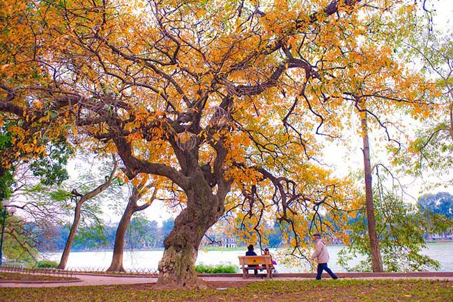 Hoan Kiem Lake in autumn Hanoi tourist attraction - Hanoi travel guide