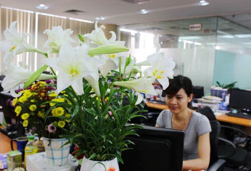 A vase of lilies in the working office - Hanoi travel guide