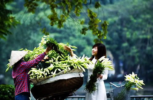 Beautiful Hanoi in April with white color of Lily - Hanoi travel guide