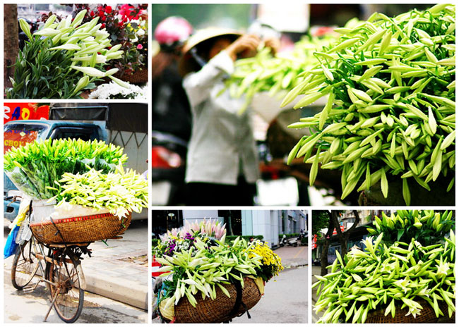 Hanoi streets are full of white lily flowers - Hanoi travel guide