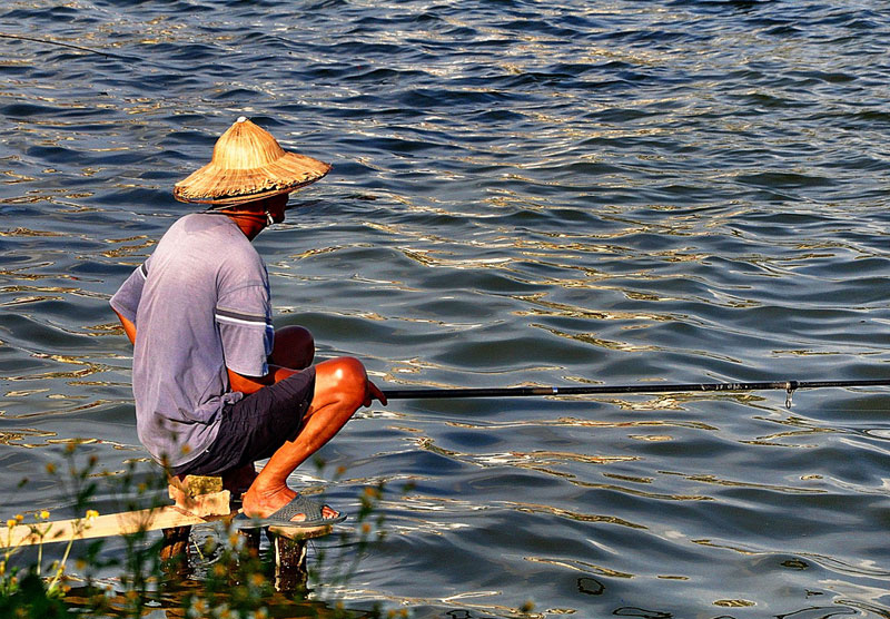 Fisherman on the West Lake - Things to do in Hanoi