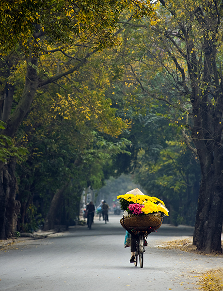 A woman selling flowers of autumn - Hanoi - when to visit