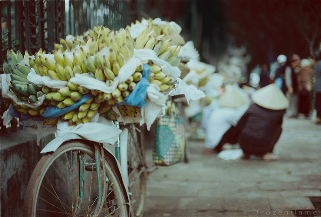 banana-vendors-on-bicycle-hanoi-street-life-hanoi-tours